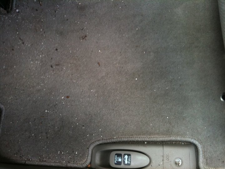Carpets Before
